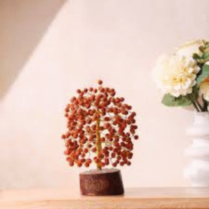 Rudraksha Tree 108 beads